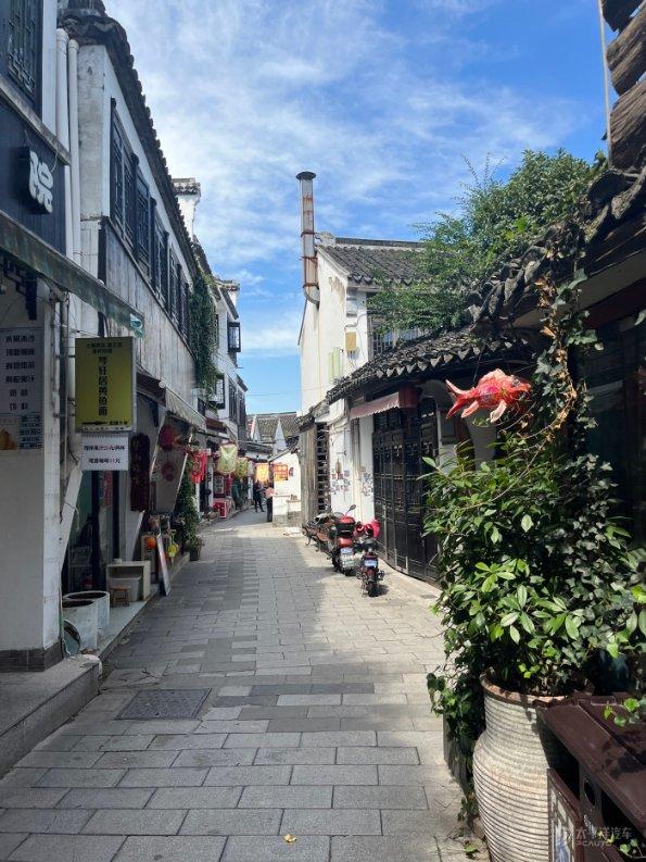 古墓丽影：崛起